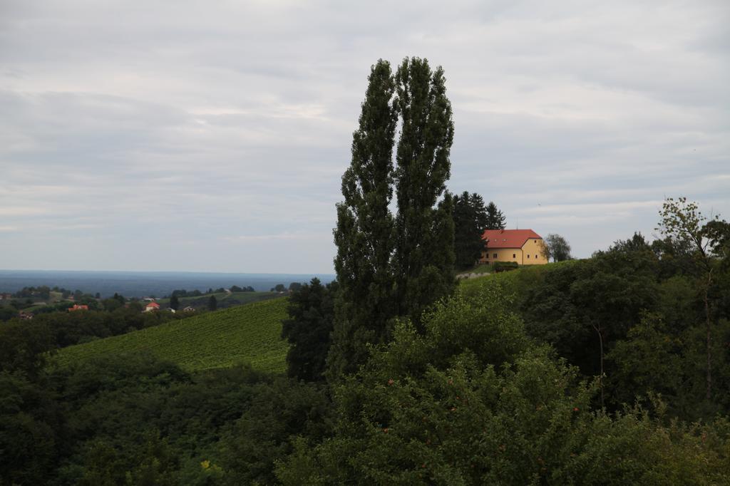 Strigova Holiday Home Maderka מראה חיצוני תמונה