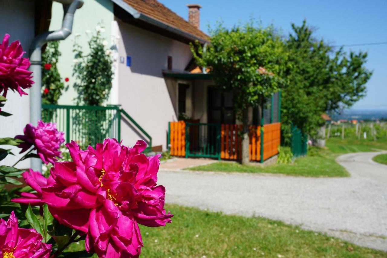 Strigova Holiday Home Maderka מראה חיצוני תמונה